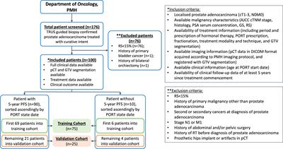 Integrating CT-based radiomic model with clinical features improves long-term prognostication in high-risk prostate cancer